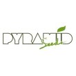 Pyramid Seeds Pyramid Seeds