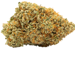 Afghan Canabissamen
