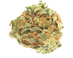 AK47 Hanfsamen