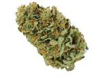Amnesia Haze Marihuanasamen