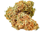 Banana Kush Canabissamen