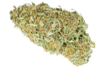 Big Bud Hanfsamen