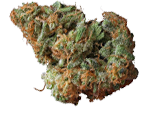 Blue Cheese Marihuanasamen