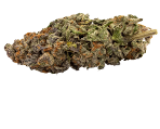 Blueberry Hanfsamen