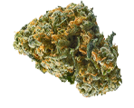 Cheese Marihuanasamen