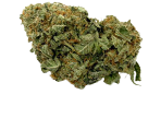 Diesel Marihuanasamen