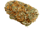 Girl Scout Cookies Marihuanasamen
