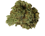 Gorilla Glue Canabissamen