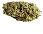 Green Poison Marihuanasamen