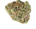 Haze Canabissamen