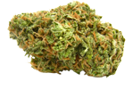 Hindu Kush Hanfsamen