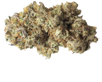Jack Herer Marihuanasamen