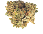 Lemon Haze Canabissamen