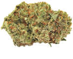 Lemon Skunk Hanfsamen