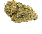 OG Kush Canabissamen