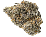 Purple Punch Canabissamen