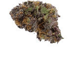 Purple Marihuanasamen