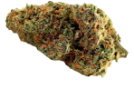 Skunk Canabissamen