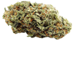 Trainwreck Canabissamen